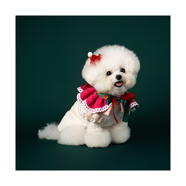 페오펫몰,Noel Cape Pink (노엘 케이프 핑크)