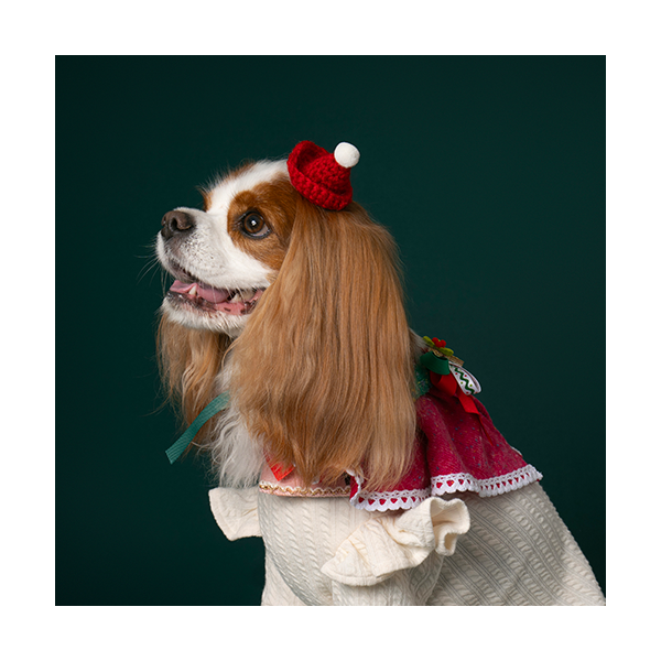 페오펫몰,Noel Cape Pink (노엘 케이프 핑크)