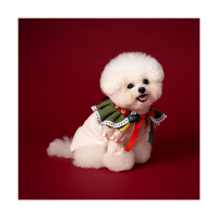 Noel Cape Green (노엘 케이프 그린)