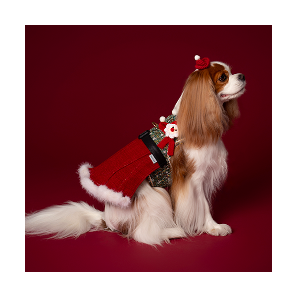 페오펫몰,Santa Harness Dress 산타하네스 드레스