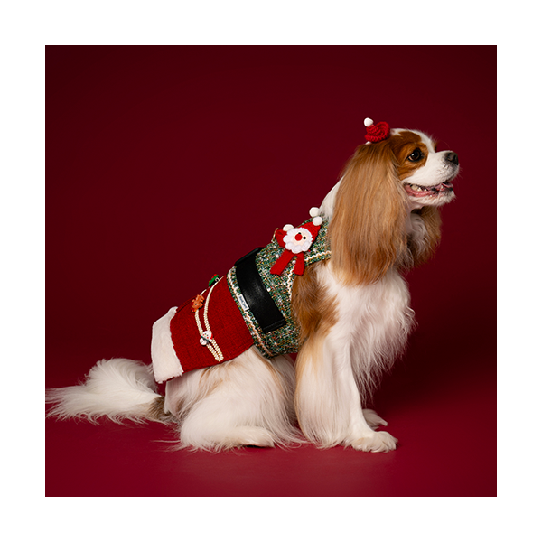 페오펫몰,Santa Harness Dress 산타하네스