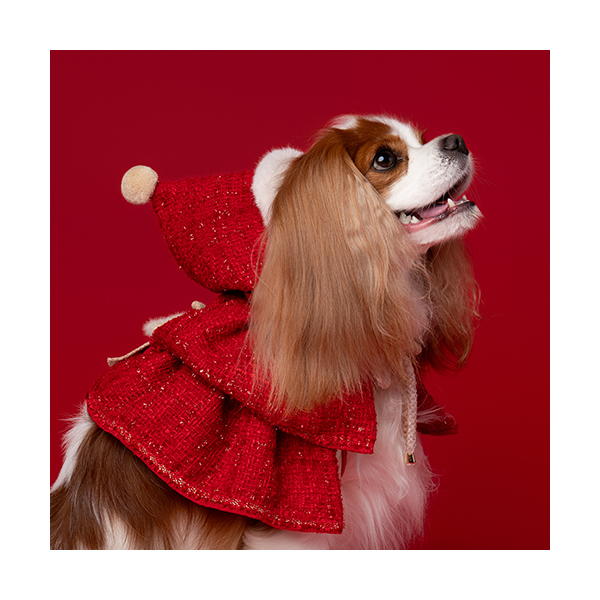 페오펫몰,Red Hood (빨간 망토)