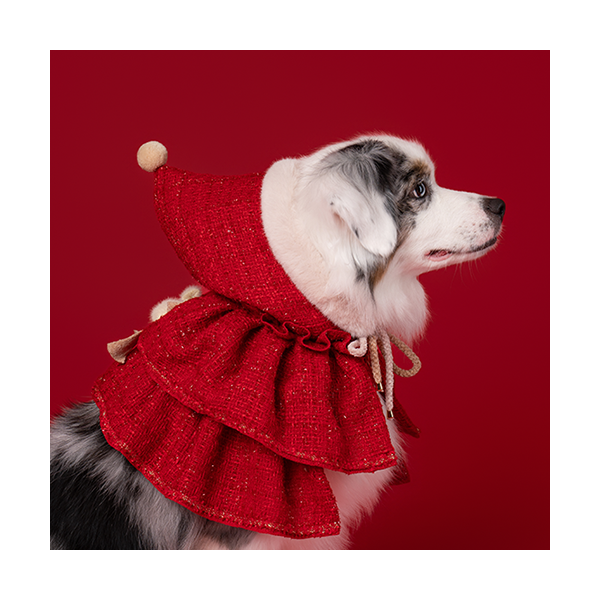 페오펫몰,Red Hood (빨간 망토)