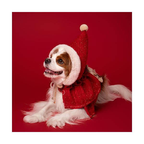 페오펫몰,Red Hood (빨간 망토)