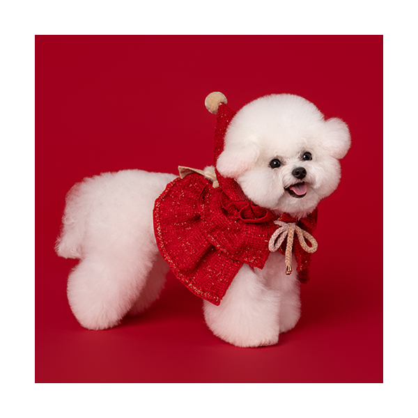 페오펫몰,Red Hood (빨간 망토)