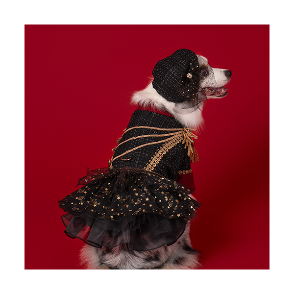 페오펫몰,New Cavalier Tweed Dress 뉴 카발리에 트위드 드레스