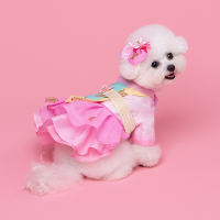 Hanbok No.5 Female Style (Dress)