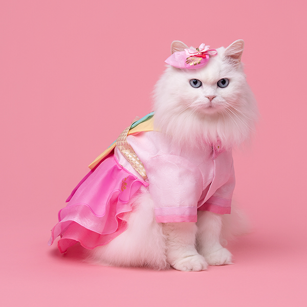 페오펫몰,Hanbok No.5 Female Style (Dress)