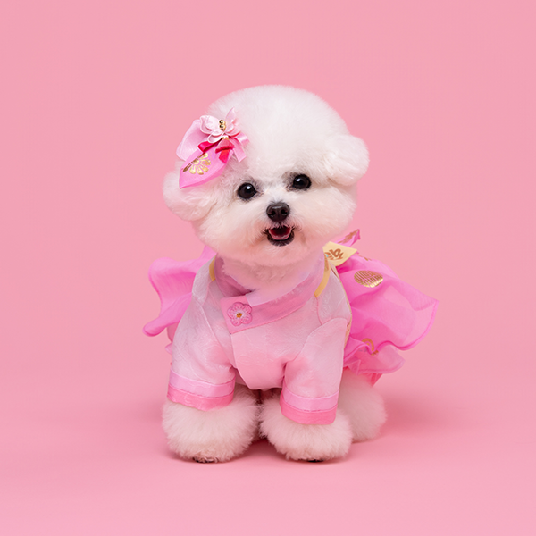 페오펫몰,Hanbok No.5 Female Style (Dress)