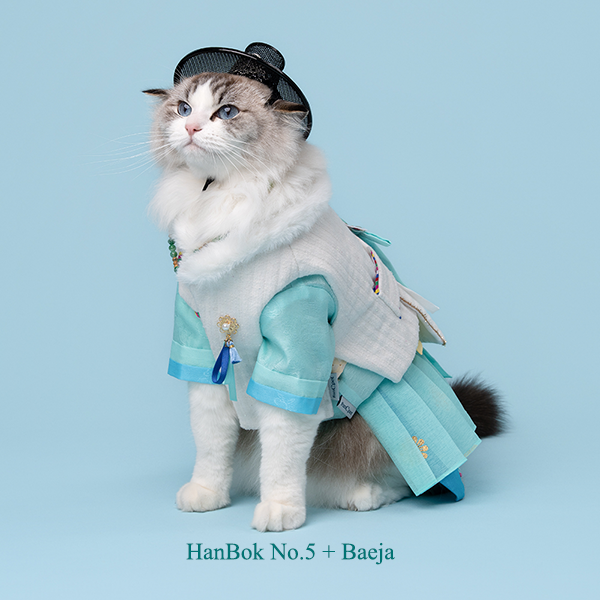 페오펫몰,Hanbok Baeja Male Style