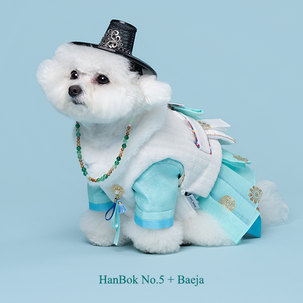 페오펫몰,Hanbok Baeja Male Style