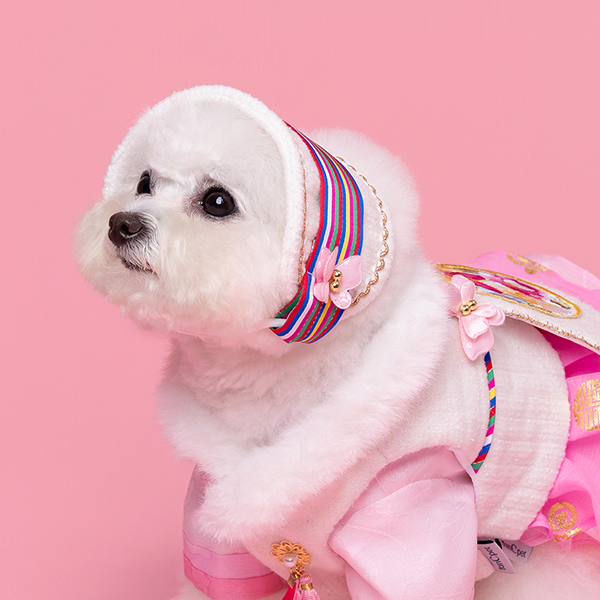 페오펫몰,Hanbok Head Acc. `Bolggi`