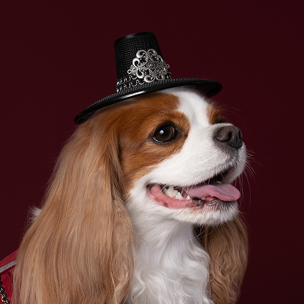 Gat - Traditional Hat