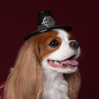 Gat - Traditional Hat