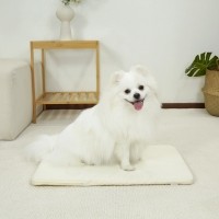 [양육비특가] 개과천선 시원한 3D 메쉬 디넬 강아지 매트