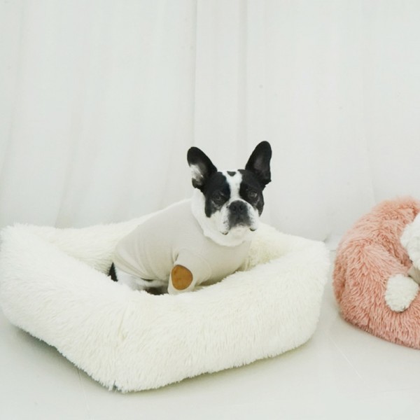 페오펫몰,개과천선 케이러 강아지 사각 방석