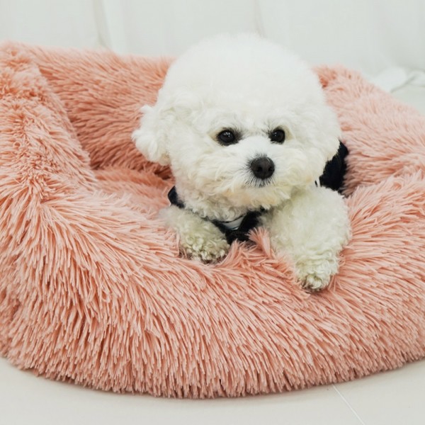 페오펫몰,개과천선 케이러 강아지 사각 방석