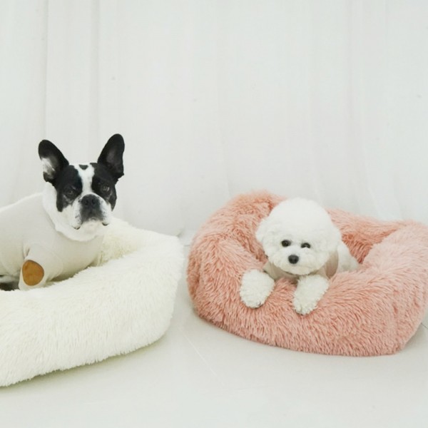 페오펫몰,개과천선 케이러 강아지 사각 방석