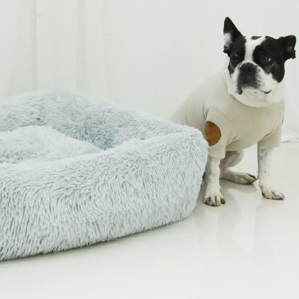 페오펫몰,개과천선 케이러 강아지 사각 방석