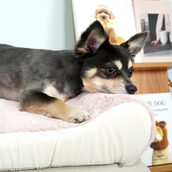 페오펫몰,개과천선 믹스퍼 강아지 방석