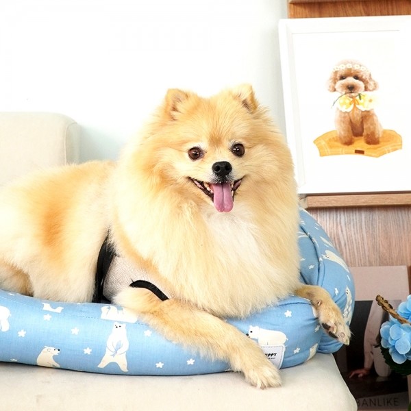 페오펫몰,개과천선 푸스 강아지 방석 블루