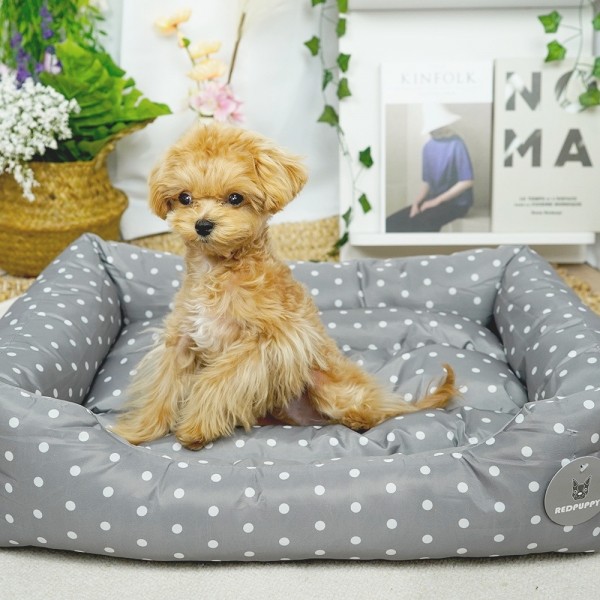 페오펫몰,개과천선 헤븐 강아지 방석