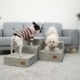 썸네일(스크롤)