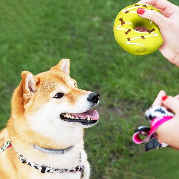 페오펫몰,개과천선 도나스 강아지 장난감