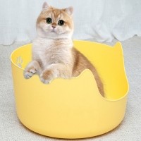 개과천선 차차 고양이 화장실 모래삽 포함