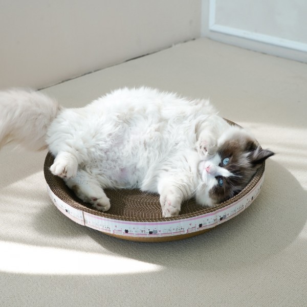 페오펫몰,개과천선 어몽드 글램 고양이 소파 스크래쳐