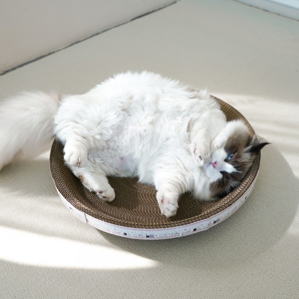 페오펫몰,개과천선 어몽드 글램 고양이 소파 스크래쳐