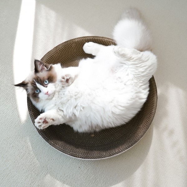 페오펫몰,개과천선 어몽드 글램 고양이 소파 스크래쳐