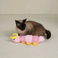 개과천선 트위글 삑삑이 강아지 장난감 고양이 인형