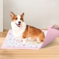 개과천선 블로썸 강아지 배변 패드