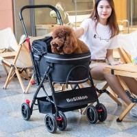 개과천선 트레비 강아지 유모차