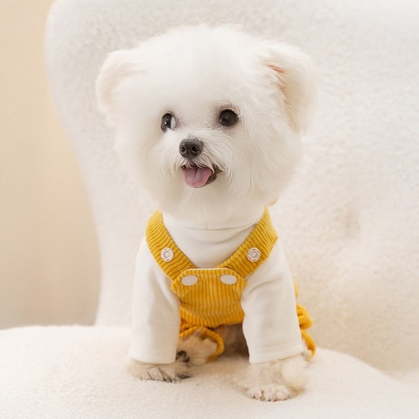 페오펫몰,개과천선 테디 강아지 멜빵탑 세트