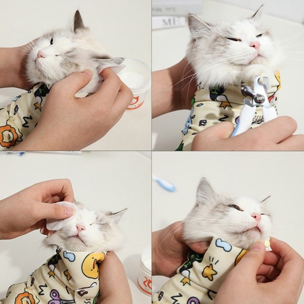 페오펫몰,개과천선 트랩핑 고양이 블랭킷