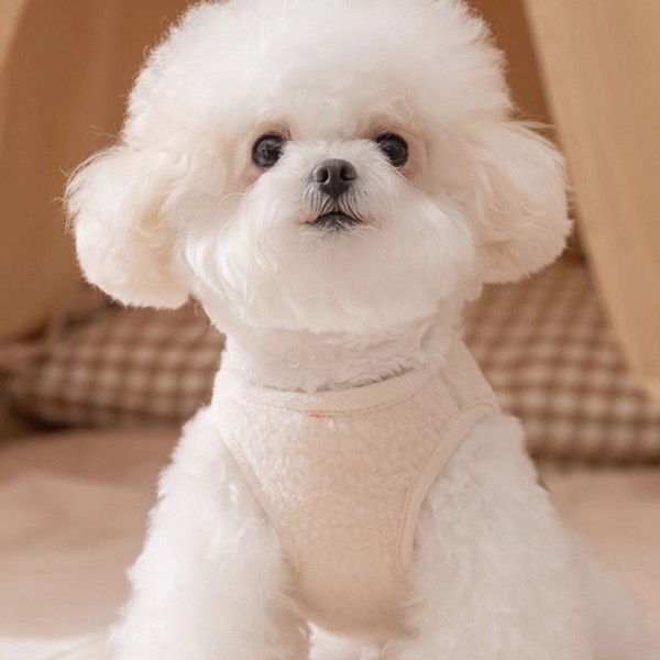 페오펫몰,개과천선 로로베어 뽀글이 반려동물 조끼