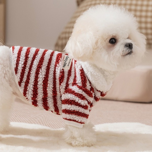 페오펫몰,개과천선 코델 뽀글이 반려동물 아우터