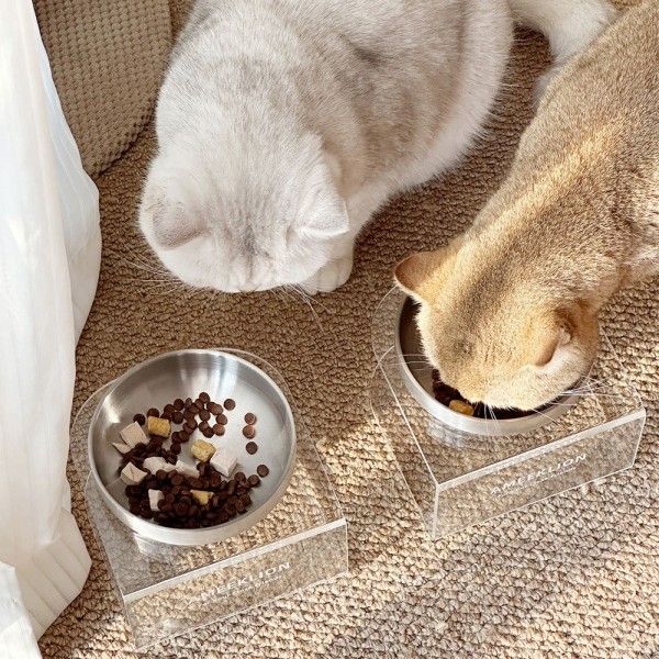 페오펫몰,개과천선 캐드라 스텐 반려동물 식기