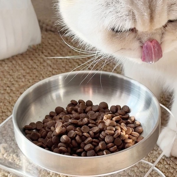 페오펫몰,개과천선 캐드라 스텐 반려동물 식기