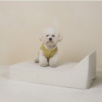 개과천선 로어 쿠션 강아지 침대 방석