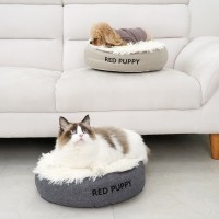 개과천선 헤일리 반려동물 방석