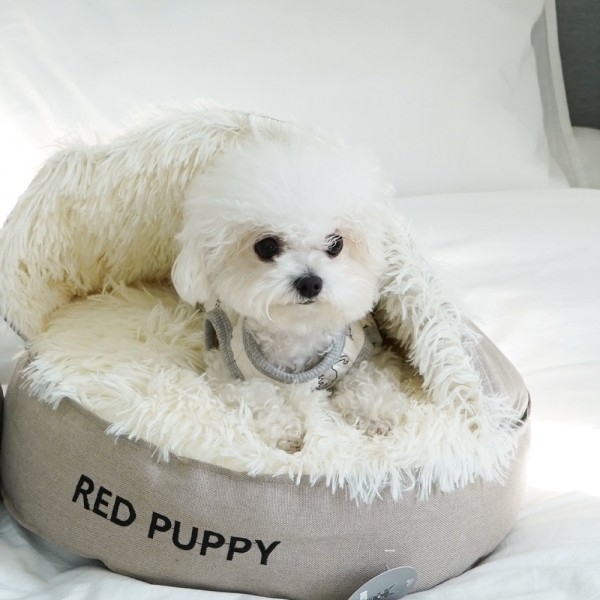 페오펫몰,개과천선 퍼비 돔 반려동물 하우스