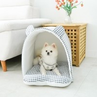 개과천선 테디오 반려동물 하우스