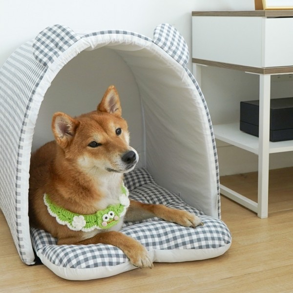 페오펫몰,개과천선 테디오 반려동물 하우스