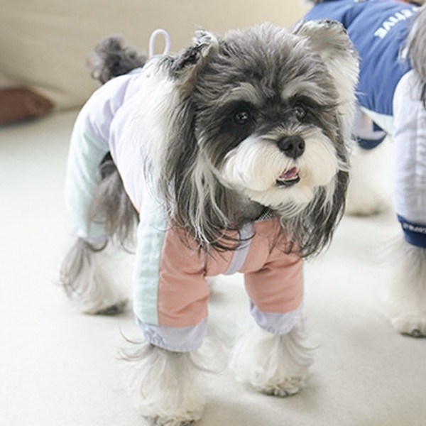 페오펫몰,개과천선 트리톤 올인원 반려동물 패딩