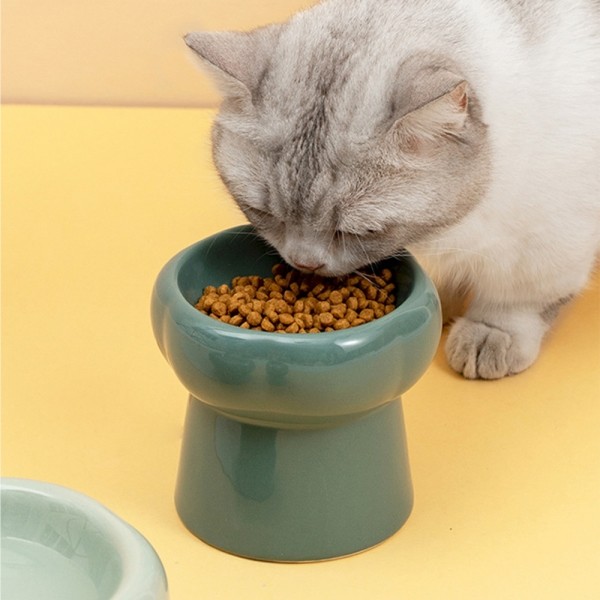 페오펫몰,개과천선 비비볼 세라믹 반려동물 식기