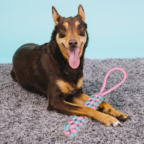 페오펫몰,개과천선 트위스티 터그 장난감