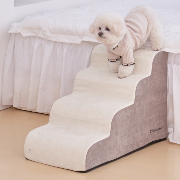 페오펫몰,개과천선 벨로우 펫스텝